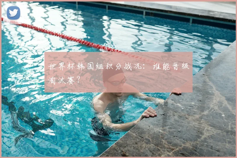 世界杯韩国组积分战况：谁能晋级淘汰赛？