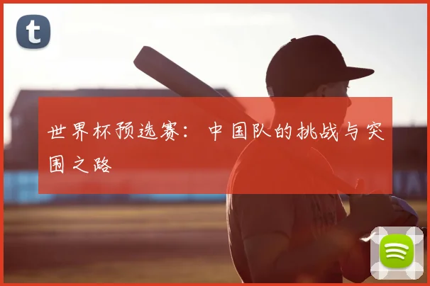 世界杯预选赛：中国队的挑战与突围之路