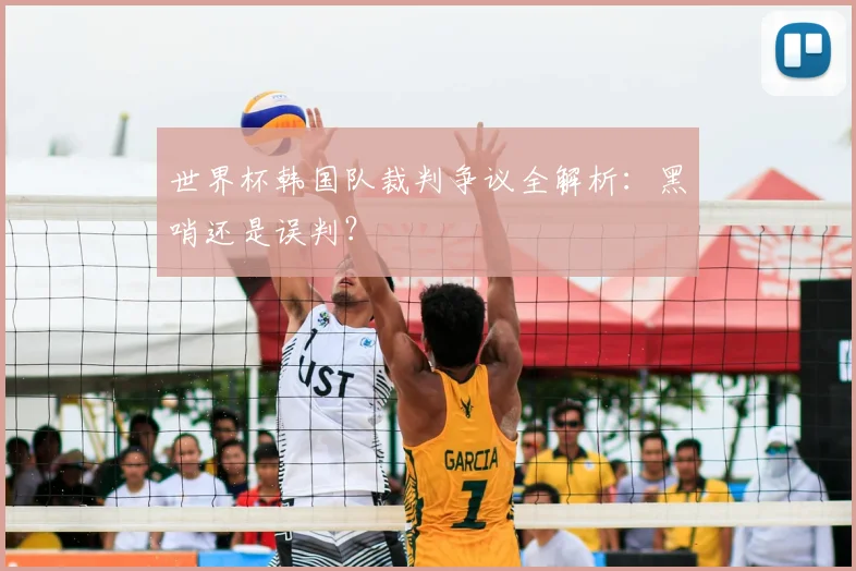 世界杯韩国队裁判争议全解析：黑哨还是误判？
