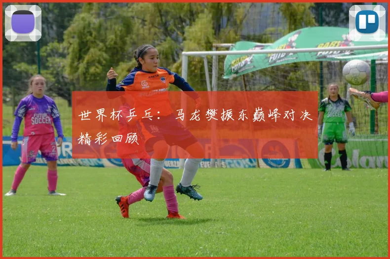 世界杯乒乓:马龙樊振东巅峰对决精彩回顾
