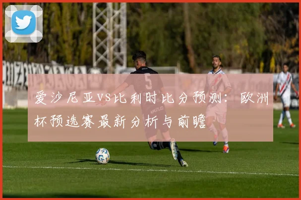 爱沙尼亚vs比利时比分预测：欧洲杯预选赛最新分析与前瞻