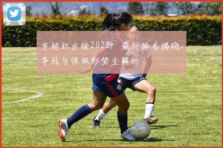 中超积分榜2022：最新排名揭晓，争冠与保级形势全解析